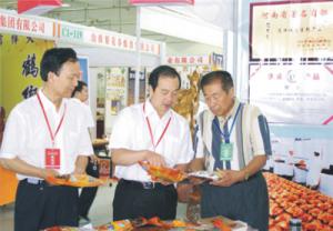 原安陽市市長(zhǎng)董永安、副市長(zhǎng)陳明今到公司調(diào)研